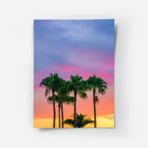 poster palmiers au crepuscule.webp