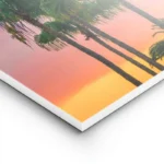 poster palmiers au crepuscule lightpanel.webp