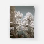 poster paysage de riviere et palmiers.webp