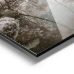 poster paysage de riviere et palmiers aluminium.webp