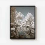 poster paysage de riviere et palmiers avec cadre.webp