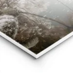 poster paysage de riviere et palmiers lightpanel.webp