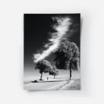 poster paysage minimaliste noir et blanc.webp