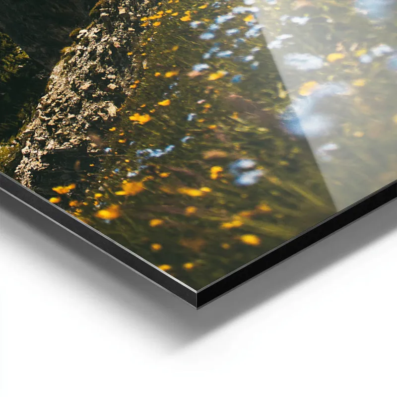 Image galerie 9