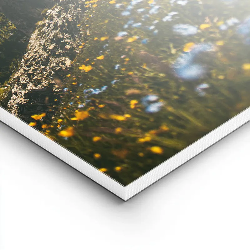 Image galerie 8