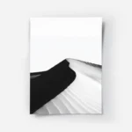 poster paysage noir et blanc.webp