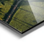 poster paysage tropical avec palmiers aluminium.webp