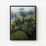 poster paysage tropical avec palmiers avec cadre.webp