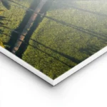 poster paysage tropical avec palmiers lightpanel.webp