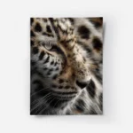 poster peau de leopard.webp