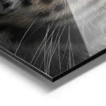 poster peau de leopard aluminium.webp