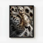 poster peau de leopard avec cadre.webp
