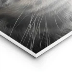 poster peau de leopard lightpanel.webp