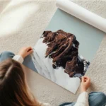poster pic de montagne enneige en rouleau.webp
