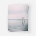 poster piliers dans l eau.webp
