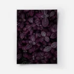 poster plante a feuilles violettes.webp