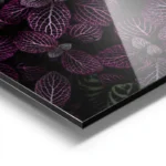 poster plante a feuilles violettes aluminium.webp