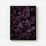 poster plante a feuilles violettes avec cadre.webp