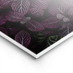 poster plante a feuilles violettes lightpanel.webp