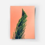 poster plante verte sur fond rose.webp