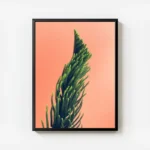 poster plante verte sur fond rose avec cadre.webp