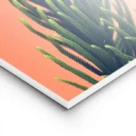 poster plante verte sur fond rose lightpanel.webp
