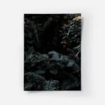 poster plantes vertes decoratives.webp