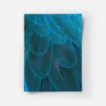 poster plumes bleues.webp