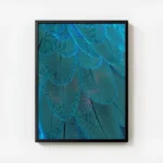 poster plumes bleues avec cadre.webp