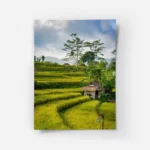 poster risiere bali.webp
