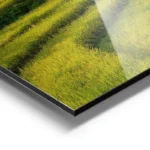 poster risiere bali aluminium.webp