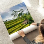 poster risiere bali au sol.webp