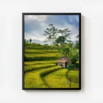 poster risiere bali avec cadre.webp