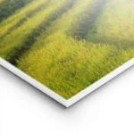 poster risiere bali lightpanel.webp
