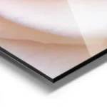 poster rose blanche douce aluminium.webp