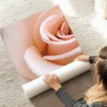 poster rose blanche douce au sol.webp