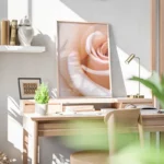 poster rose blanche douce bureau.webp