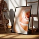 poster rose blanche douce encadre.webp