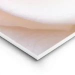 poster rose blanche douce lightpanel.webp