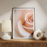 poster rose blanche douce meuble.webp