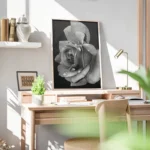 poster rose noir et blanc bureau.webp