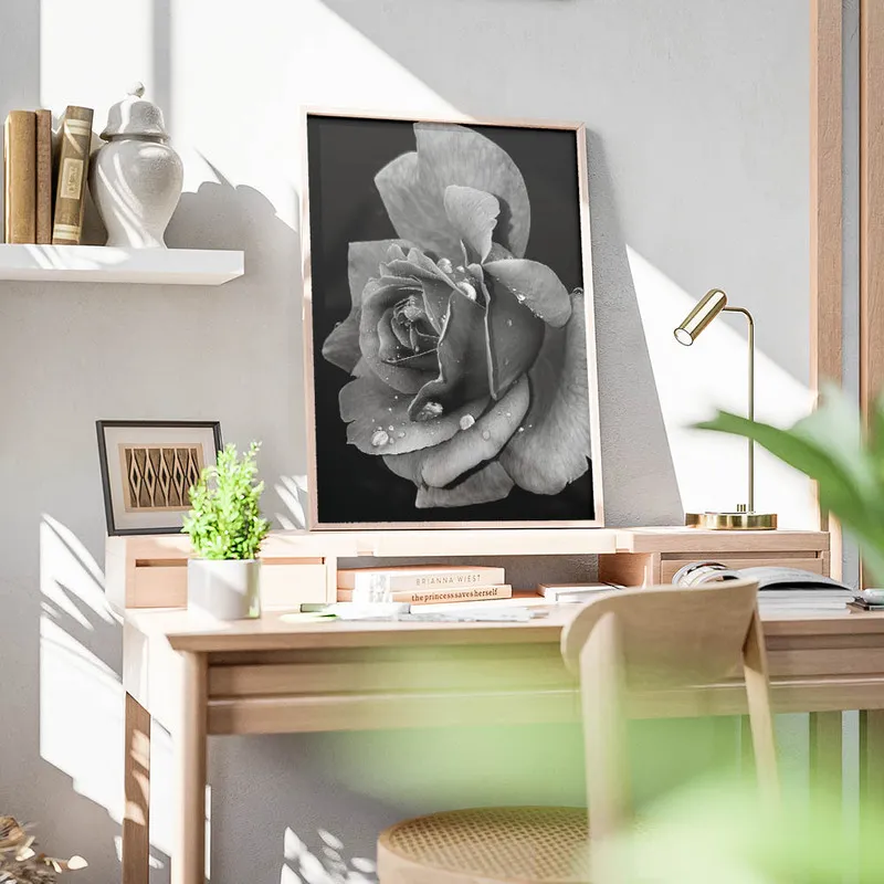 Image galerie 5