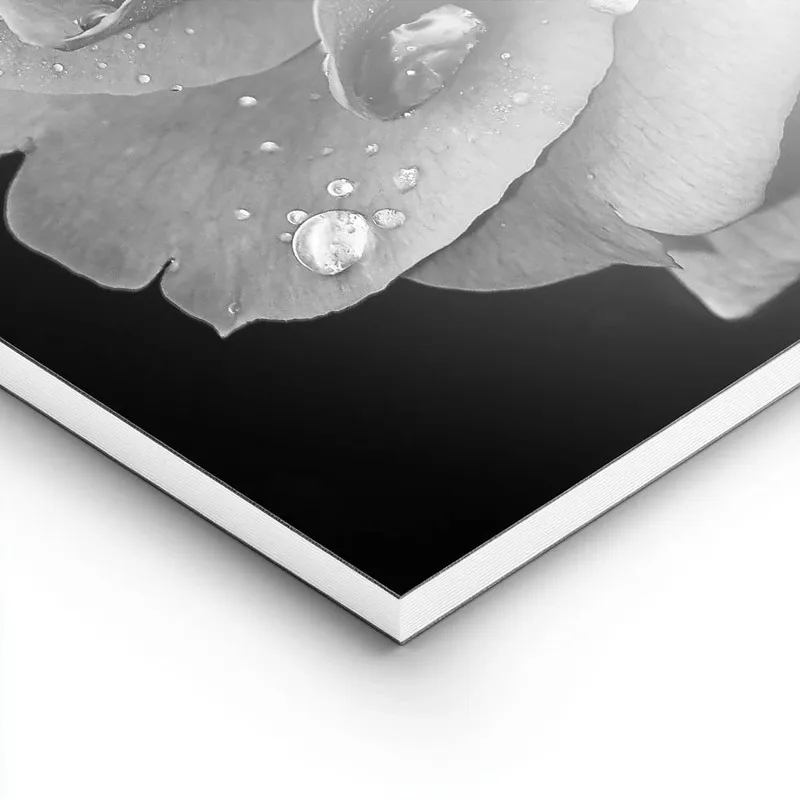 Image galerie 8