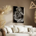poster rose noir et blanc salon.webp