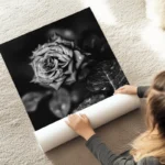 poster rose noire et blanche au sol.webp