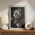 poster rose noire et blanche meuble.webp