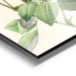 poster rose rouge aluminium.webp