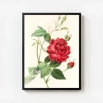 poster rose rouge avec cadre.webp