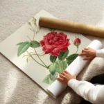 poster rose rouge enroule.webp