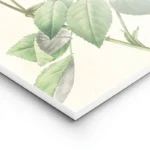 poster rose rouge lightpanel.webp